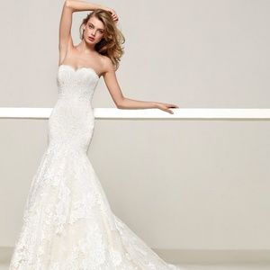 Pronovias Wedding Dress